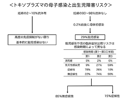 トキソプラズマの母子感染と出生児障害リスク